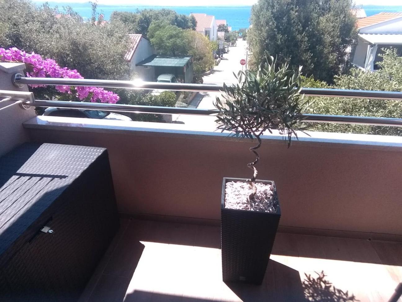 Apartment Vila Nina Petrcane Rom bilde